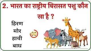 GK QUIZ || General Knowledge || GK In Hindi || Interesting GK || GK Question || GK || Word Skill ||