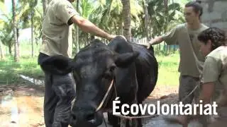 Voyage humanitaire en Inde avec Projects Abroad