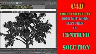 C4D :Forester Plugin does not work textures in CentiLeo  Render SOLUTION