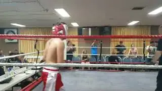 cottonwood boxer1