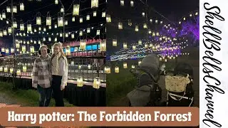 Taking Our Reborn Babies to Hogwarts! - (Melbourne)