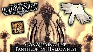 Hollow Knight: The Pantheon of Hallownest | Embrace the Void Trophy/Achievement