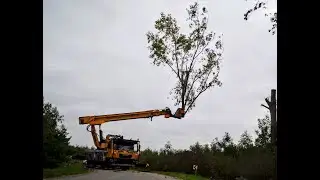 Albach Fällbach:  Boomvelling Rhenen