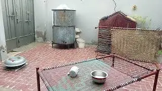 Village Life #heavyrain #weather #vlog #foryou