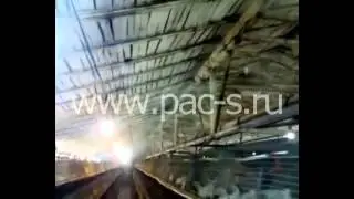 Охлаждение помещения птицефабрики с помощью системы тумана