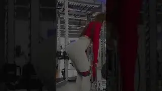 Ухо