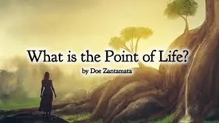 What is the Point of Life? - By Doe Zantamata