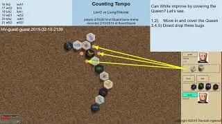 Play Hive Like a Champion   Counting Tempo