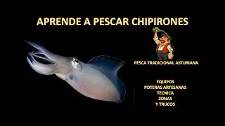¡Así fue mi primera vez pescando en el musel de Gijón!