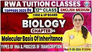 Class 12 Biology Chapter 5 | Molecular Basis Of Inheritance By Vandana Mam