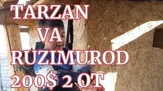 RUZIMUROD VA TARZAN jufligi muxleslarni talabiga binoan