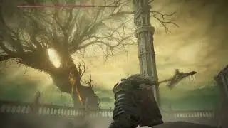 I Just Beat Elden Ring DLC : STRENGTH BRO Edition