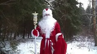 Дед мороз 2018