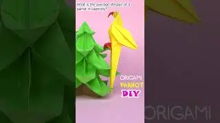 Quiz about parrots. Guess right! Paper parrot origami