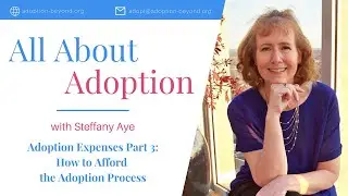 Why Does Adoption Cost So Much? - Part 3