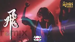 大神慧🌸 - 飞 【DJ REMIX 舞曲】Ft. K9win