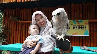 Jan Jalan ke R Zoo & Park di Kabupaten Serdang Bedagai