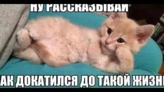 самые СМЕШНЫЕ диалоги