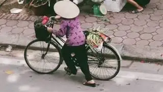 Hanoi Under The Trees - Hà Nội dưới những tán cây
