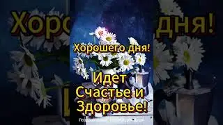 Хорошего Счастливого утра и дня! Have a nice Happy morning and afternoon! #shorts  #хорошегодня
