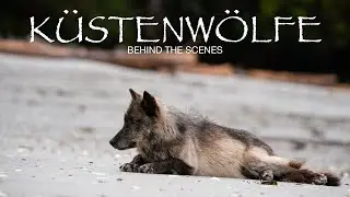 Küstenwölfe - Hinter den Kulissen