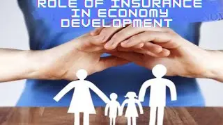 Role of Insurance in Economy Development