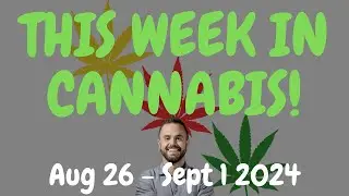 This Week in Cannabis News - Aug 26 to Sept 1 2024
