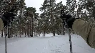 Последний день зимы