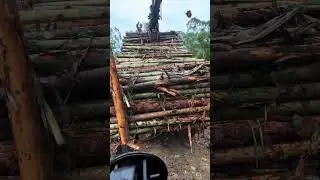 Installing wood is also a very interesting job #car