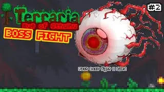 DEFEAT MY FIRST BOSS FIGHT |Terraria eye of cthulhu