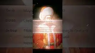 #capcut #edit #shortvideos #viral #history
