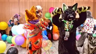 Balloon Panel Cleanup - Eurofurence 2024 🎈💥