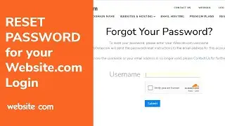 Reset Your Website.com Login Password