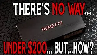 One Of THE BEST Knives This Year UNDER $200 - Remette Wild Species
