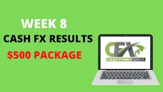 CashFX Results - Week 8 Progress