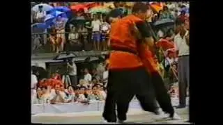 1998 TUI SHOU　LEITAISAI