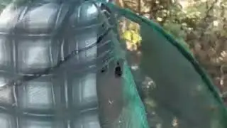 Мафия шагает на рыбалку.