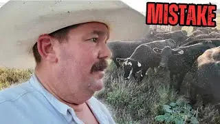 Shouldn't Have Docked Their Tails!  | Bar 7 Ranch
