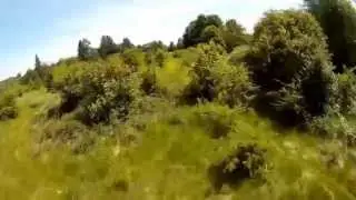 SRD280 Type A FPV racing Drone, emax 2204/2300, 5045, cc3d openpilot, PWM,