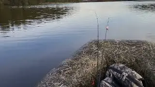 Новая лодка и электромотор.