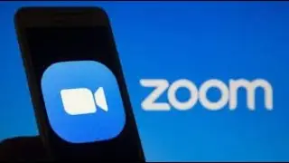 Программа Zoom - оплата тарифного плана «профессиональный» и настройка видео конференций!!
