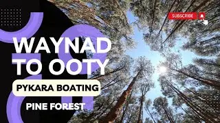 4K || On the Way to Ooty from Waynad || Pykara Boating || Pine Forest Ooty