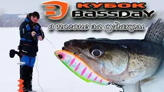Кубок Bassday "Камский Хищник". В погоне за судаком.