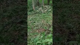 Рыбацкий лагерь. Начало строительства.