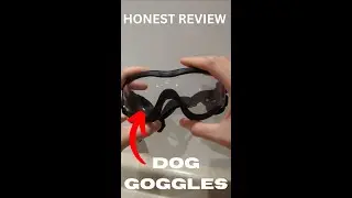 Honest Review of Dog Goggles #doggo #eyeprotection #cutepuppy