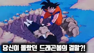 The 100 hidden truths of Dragon Ball you didn't know