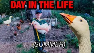 Teen raises his own ducks and geese.