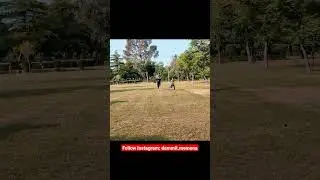 Embarrassing Families!