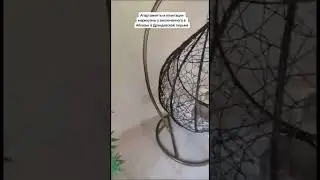 Жизнь Ворам Абхазия Воровская