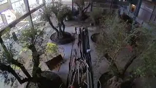Timelapse of Underground Elephant's Headquarter Construction